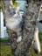 Anneli_G